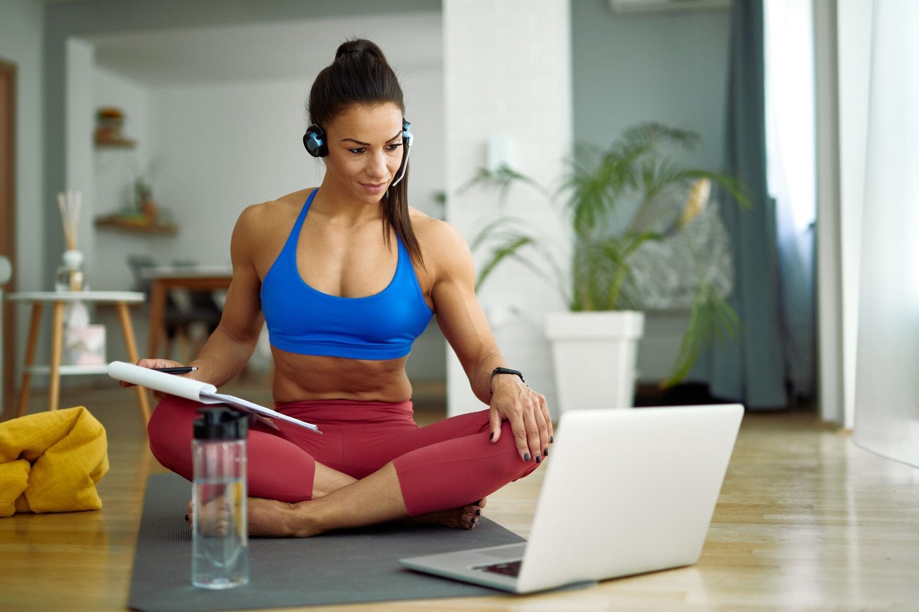 Contact xSomatic